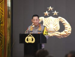 WhatsApp Image 2024-12-31 at 15.07.47