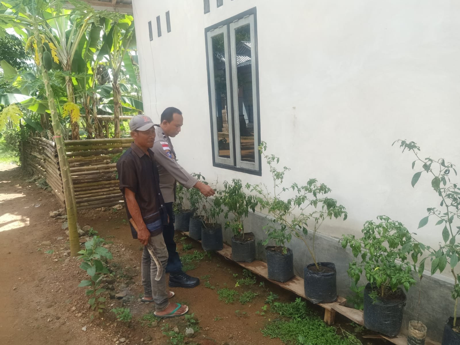Polri dan Warga Bangun Ketahanan Pangan Lewat Pekarangan Rumah di Sekotong