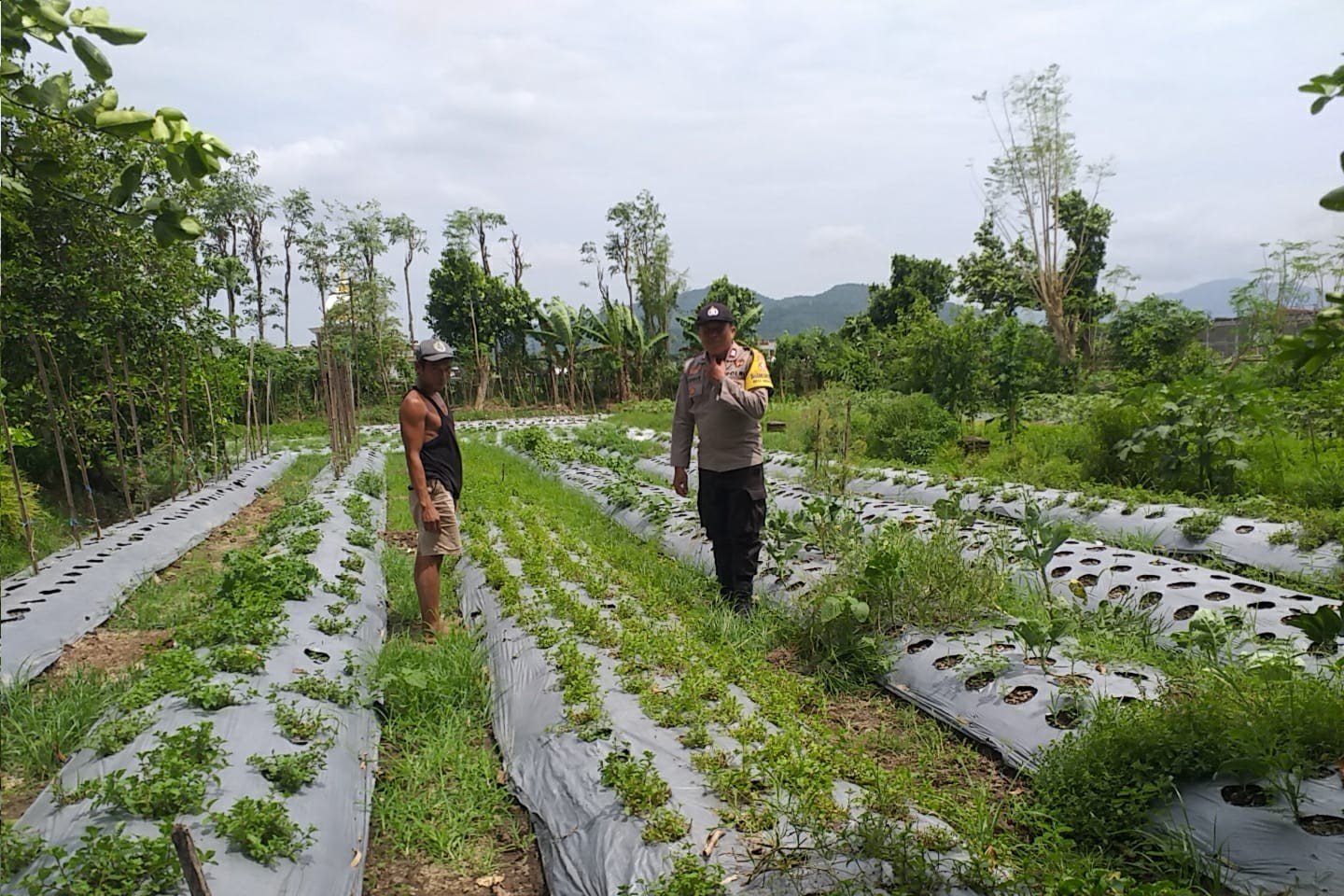 Sambang Warga, Bhabinkamtibmas Gaungkan Ketahanan Pangan Desa