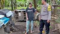 Polsek Batulayar Dukung Ketahanan Pangan, Bhabinkamtibmas Senggigi Aktif Sambangi Warga (1) Sambang Polri Dorong Kemandirian Pangan Warga Dusun Mangsit