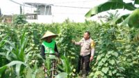 Polsek Labuapi Dukung Ketahanan Pangan, Bhabinkamtibmas Ajak Warga Manfaatkan Lahan Kosong
