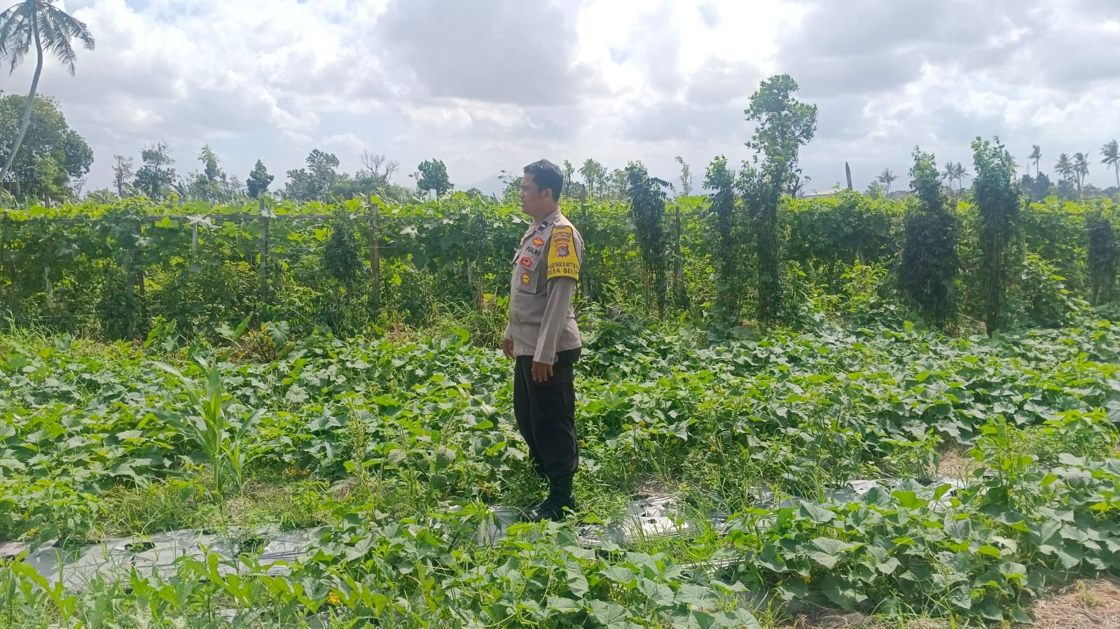 Polri Dukung Ketahanan Pangan di Desa Beleka Lombok Barat