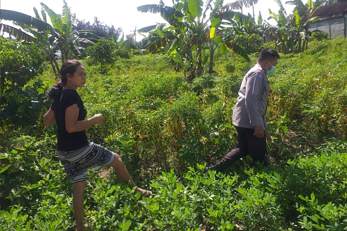 Ketahanan Pangan Desa Jagaraga Diperkuat Lewat Pendampingan Polri