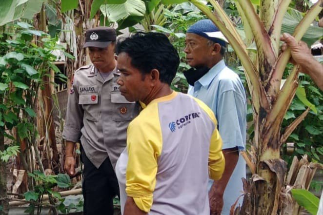 Ketahanan Pangan Desa Babussalam Didukung Aktif Polri