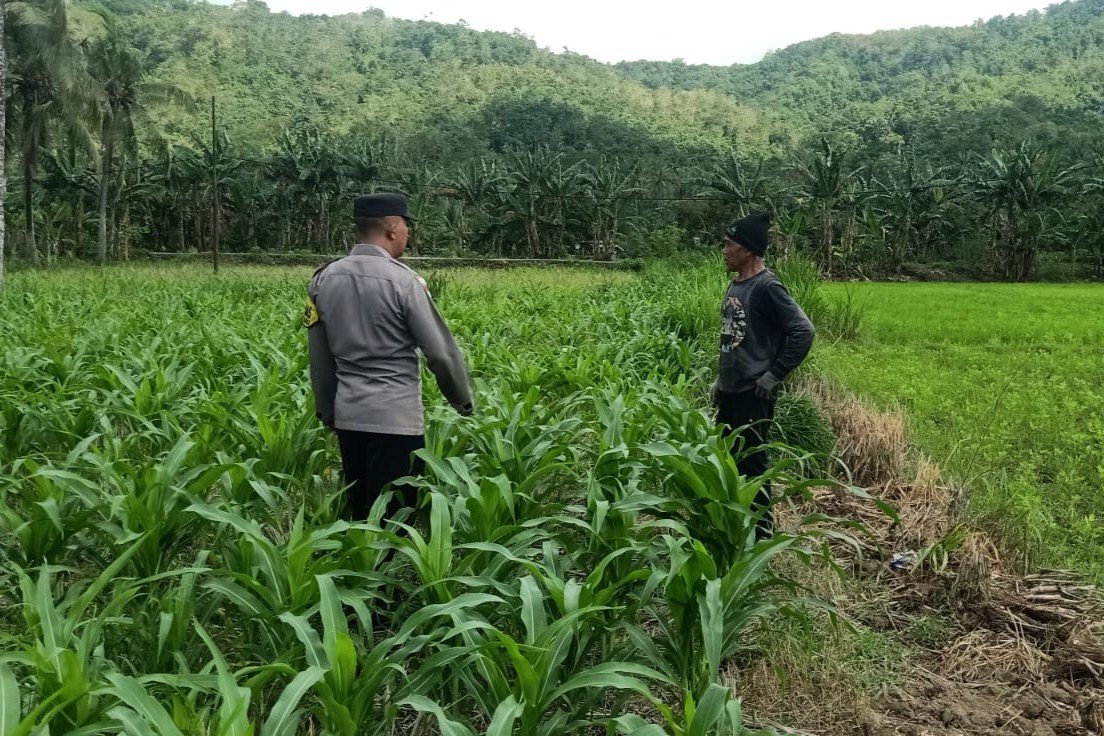 Kunjungan DDS: Ketahanan Pangan dan Kamtibmas Jadi Fokus Polisi Sekotong