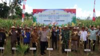 Panen Raya Jagung Serentak di Lombok Barat, Sinergi Polri dan Masyarakat Dukung Swasembada Pangan 2025 (5) Dukungan Penuh Polri dan Pemda dalam Panen Raya Jagung NTB