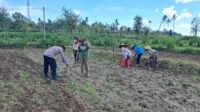 Peran Polri Dalam Swasembada Pangan di Sekotong, NTB (1) Peran Polri Dalam Swasembada Pangan di Sekotong, NTB