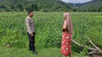 Polsek Lembar Dukung Ketahanan Pangan Lewat Sambang Petani di Sekotong Timur