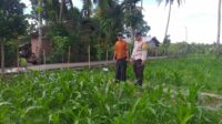 Pendekatan DDS Jadi Strategi Polri Bangun Kamtibmas Pertanian
