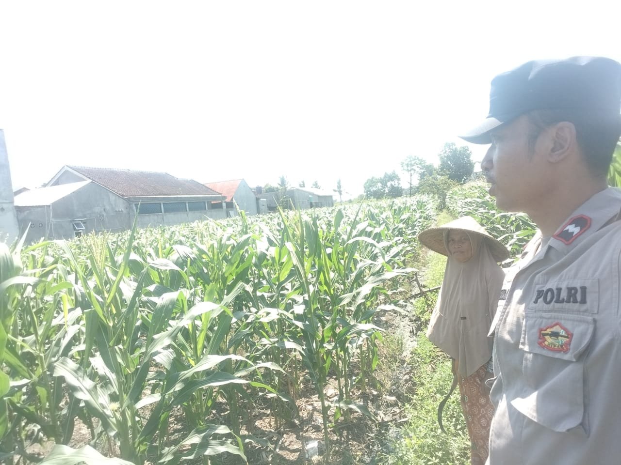 Bhabinkamtibmas Labuapi Ajak Warga Optimalkan Lahan Pekarangan untuk Ketahanan Pangan