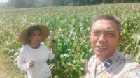 Dukungan Polri di Eyat Mayang, Petani Jagung Tak Sendiri
