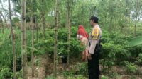 Ketahanan Pangan Dimulai dari Desa, Bhabinkamtibmas Dampingi Petani Cabai di Kediri Lombok Barat
