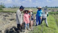 Polri Dukung Swasembada Pangan, Bhabinkamtibmas Montong Are Gandeng Petani Tingkatkan Ketaha ( Polri Dukung Swasembada Pangan, Bhabinkamtibmas Montong Are Gandeng Petani