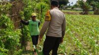 Bhabinkamtibmas di Labuapi dan Warga Bersinergi Jaga Ketahanan Pangan Nasional