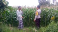Polri Hadir Bantu Petani Jagaraga Tingkatkan Produktivitas Lahan Pertanian