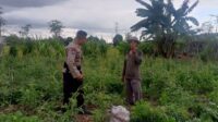 Bhabinkamtibmas Terong Tawah Dorong Pemanfaatan Pekarangan untuk Ketahanan Pangan