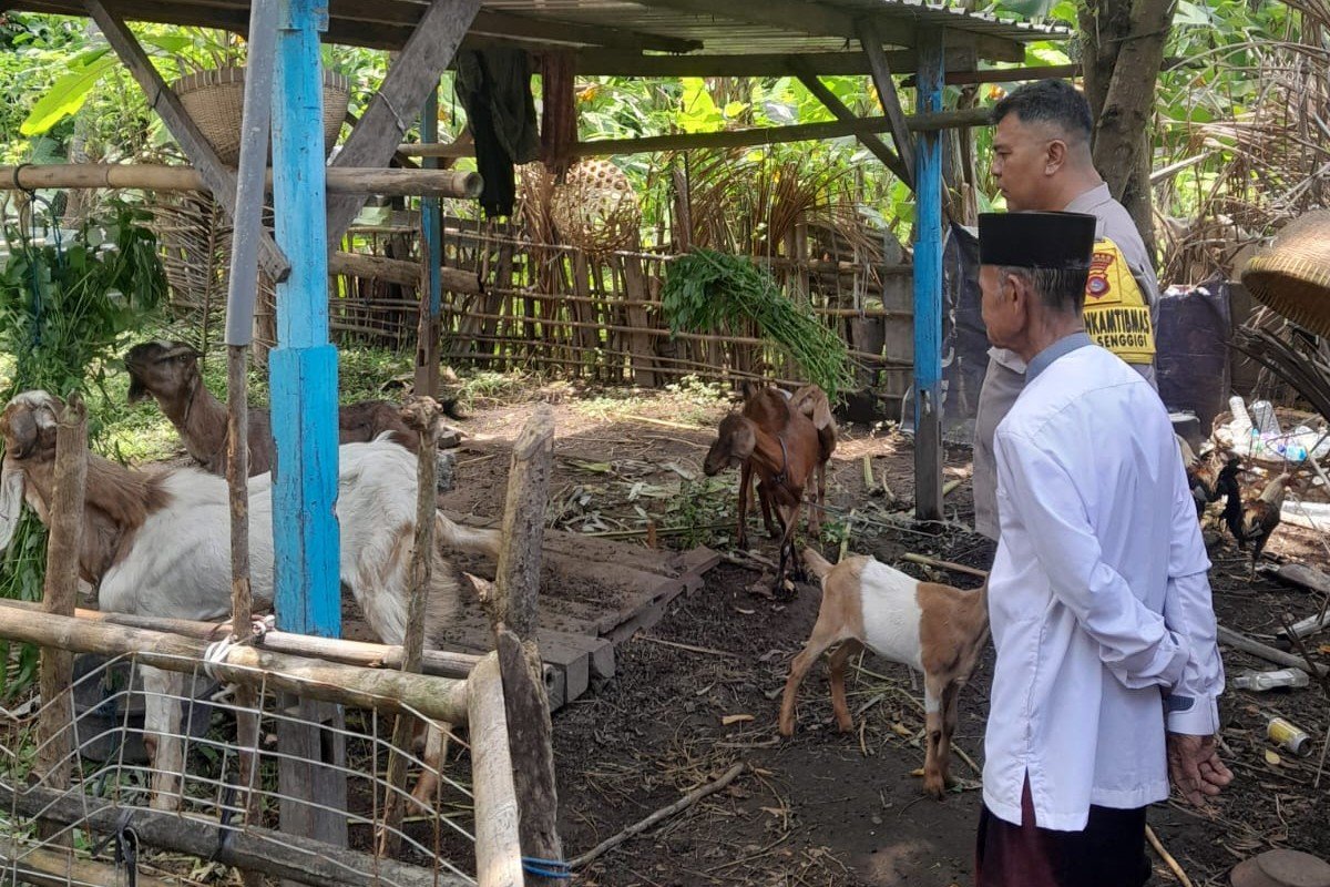 Ketahanan Pangan Desa Senggigi Didukung Inisiatif Bhabinkamtibmas Polsek Batulayar