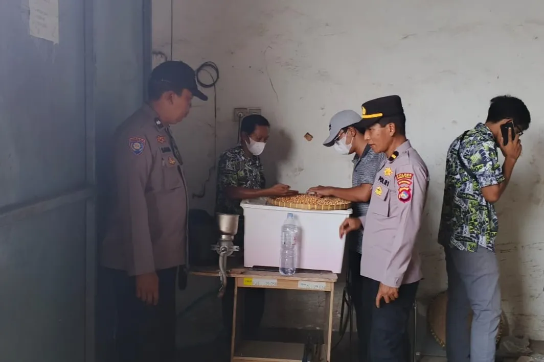 Petani Lega! Jagung Kering Terserap Bulog dengan Harga Acuan Pemerintah