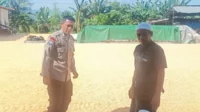 Sinergi Polisi dan Petani Jaga Pasokan Jagung di Lombok Barat