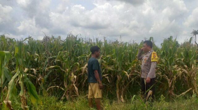 Sinergi Polri dan Warga Wujudkan Kemandirian Pangan di Lombok Barat